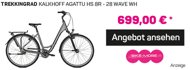 Elektrofahrrad Angebot